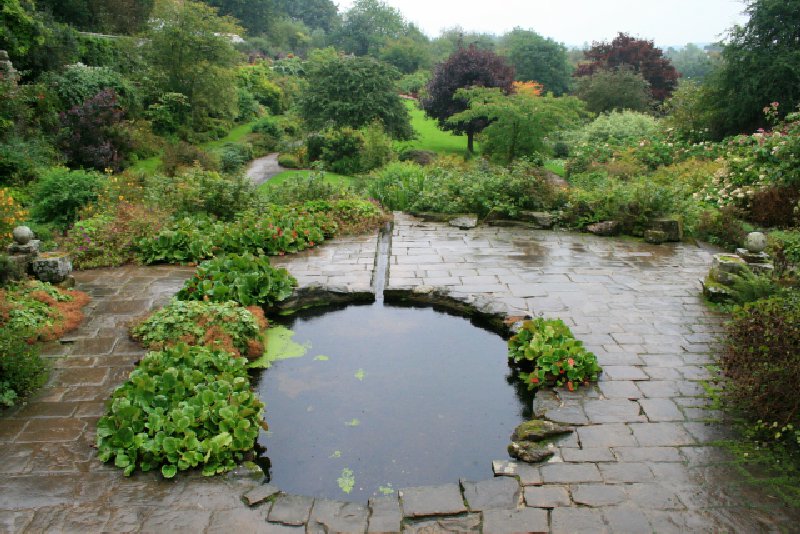 GREEN Rain Garden MN